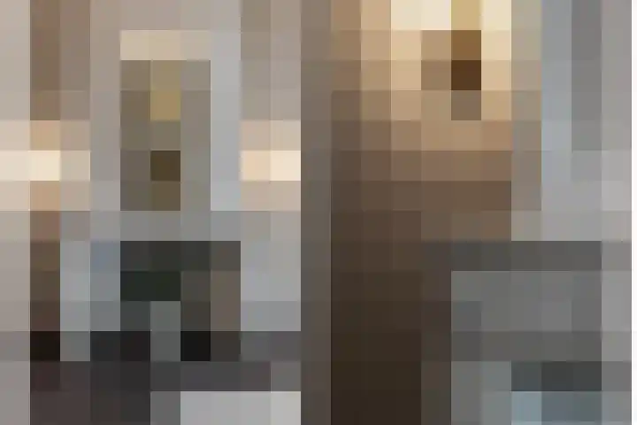 Nieuwe Gracht 80 A 1 Haarlem thumbnail 22