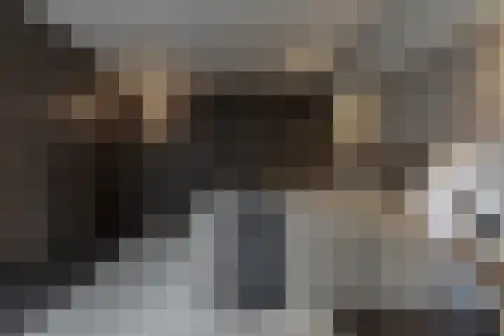 Nieuwe Gracht 80 A 1 Haarlem thumbnail 30