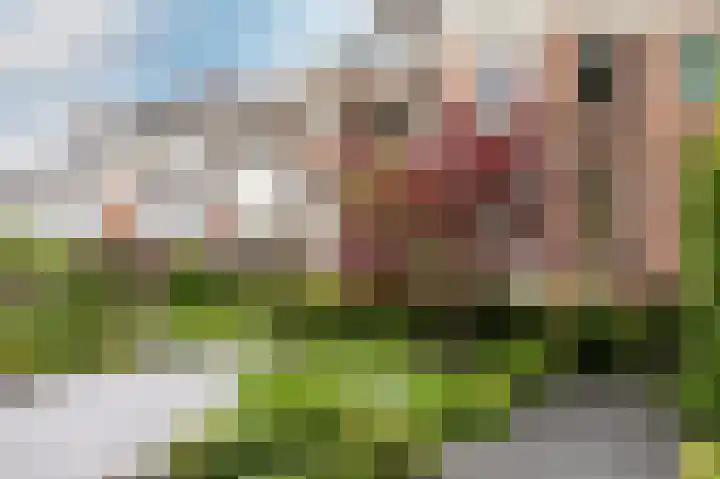 Nieuwe Gracht 80 A 1 Haarlem thumbnail 33