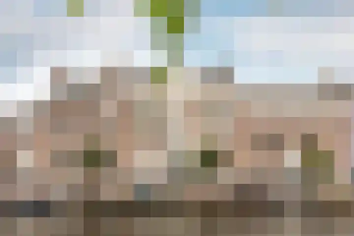Nieuwe Gracht 80 A 1 Haarlem thumbnail 5