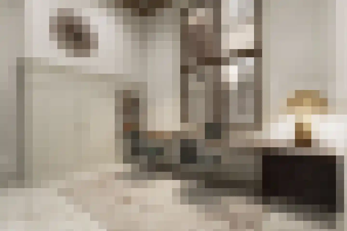 Nieuwe Gracht 84 Haarlem thumbnail 34