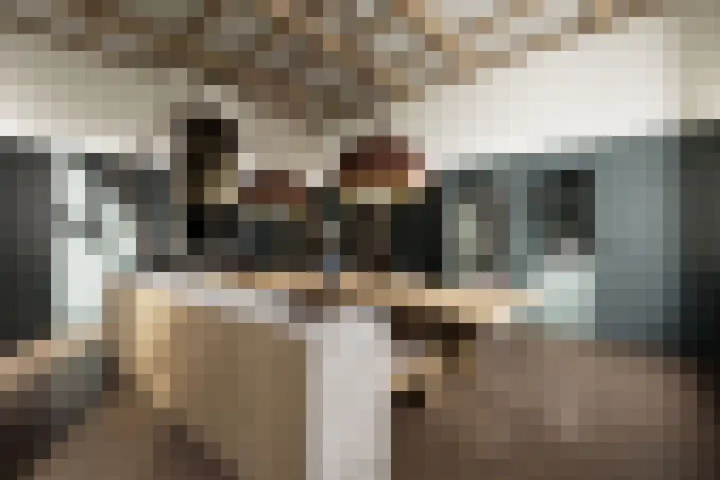 Nieuwe Gracht 84 Haarlem thumbnail 41