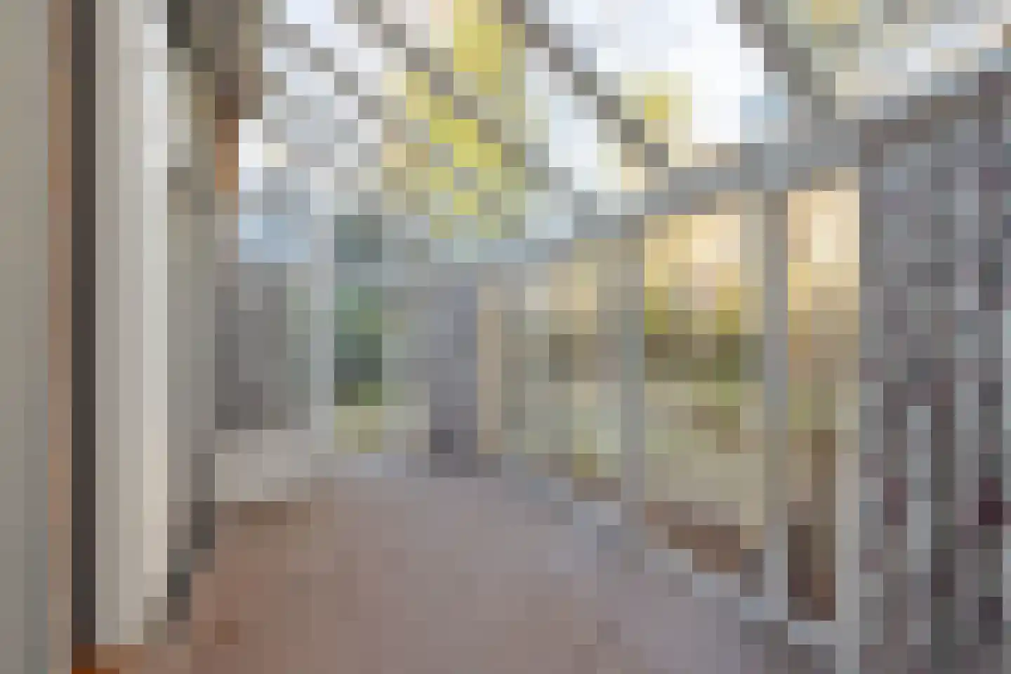 Nieuwe Gracht 84 Haarlem thumbnail 44