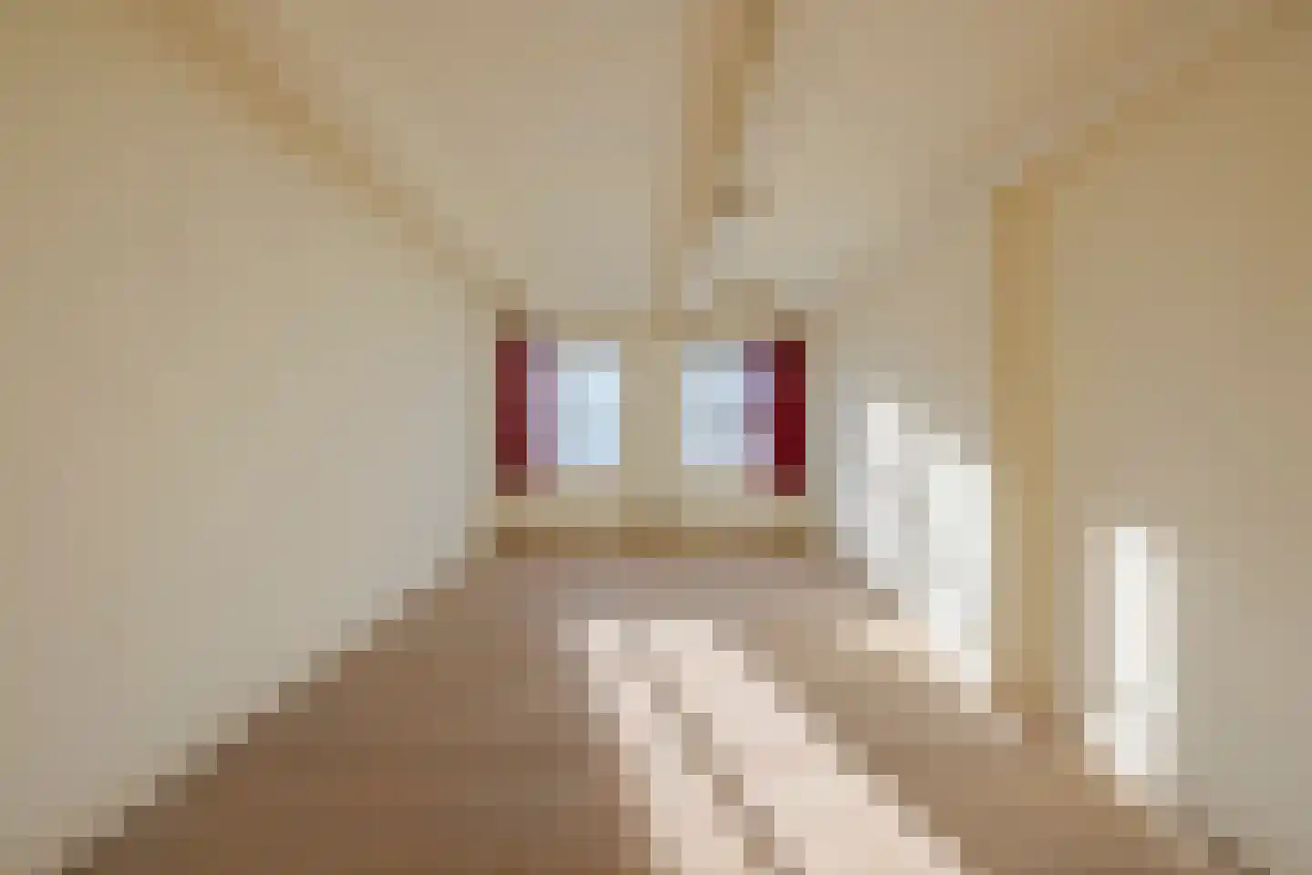 Nieuwe Gracht 84 Haarlem thumbnail 50