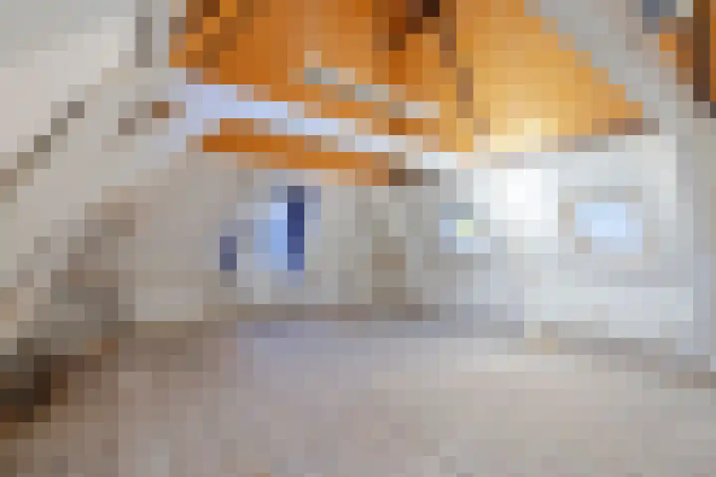 Nieuwe Gracht 84 Haarlem thumbnail 55