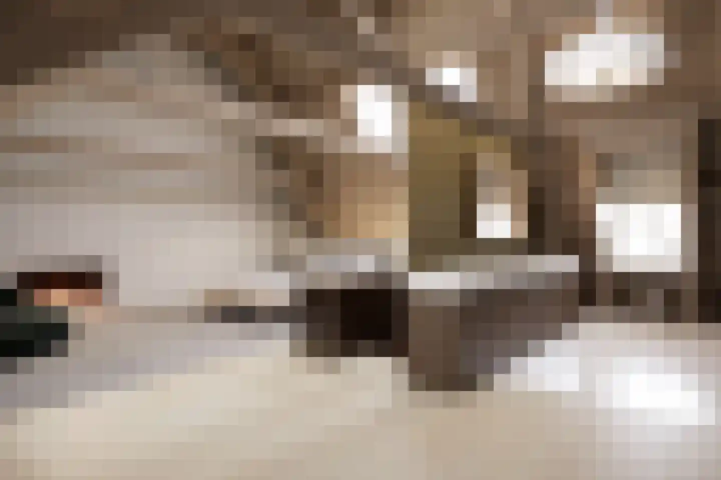 Nieuwe Gracht 84 Haarlem thumbnail 62