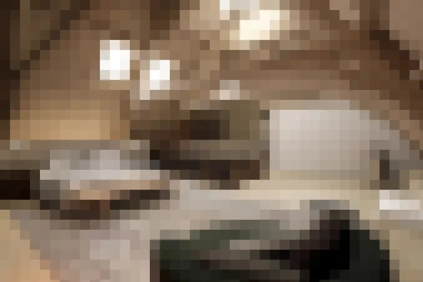 Nieuwe Gracht 84 Haarlem thumbnail 64