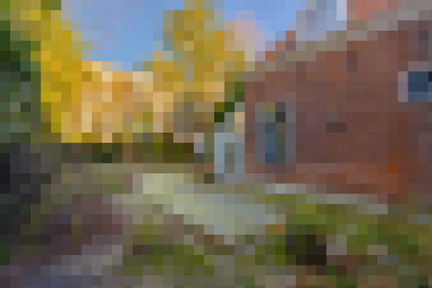 Nieuwe Gracht 84 Haarlem thumbnail 66