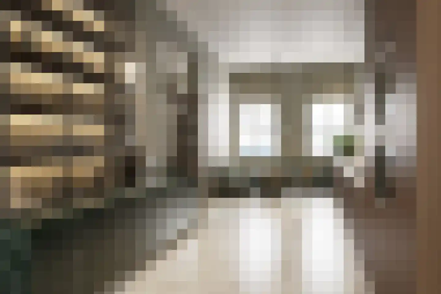 Nieuwe Gracht 84 Haarlem thumbnail 72