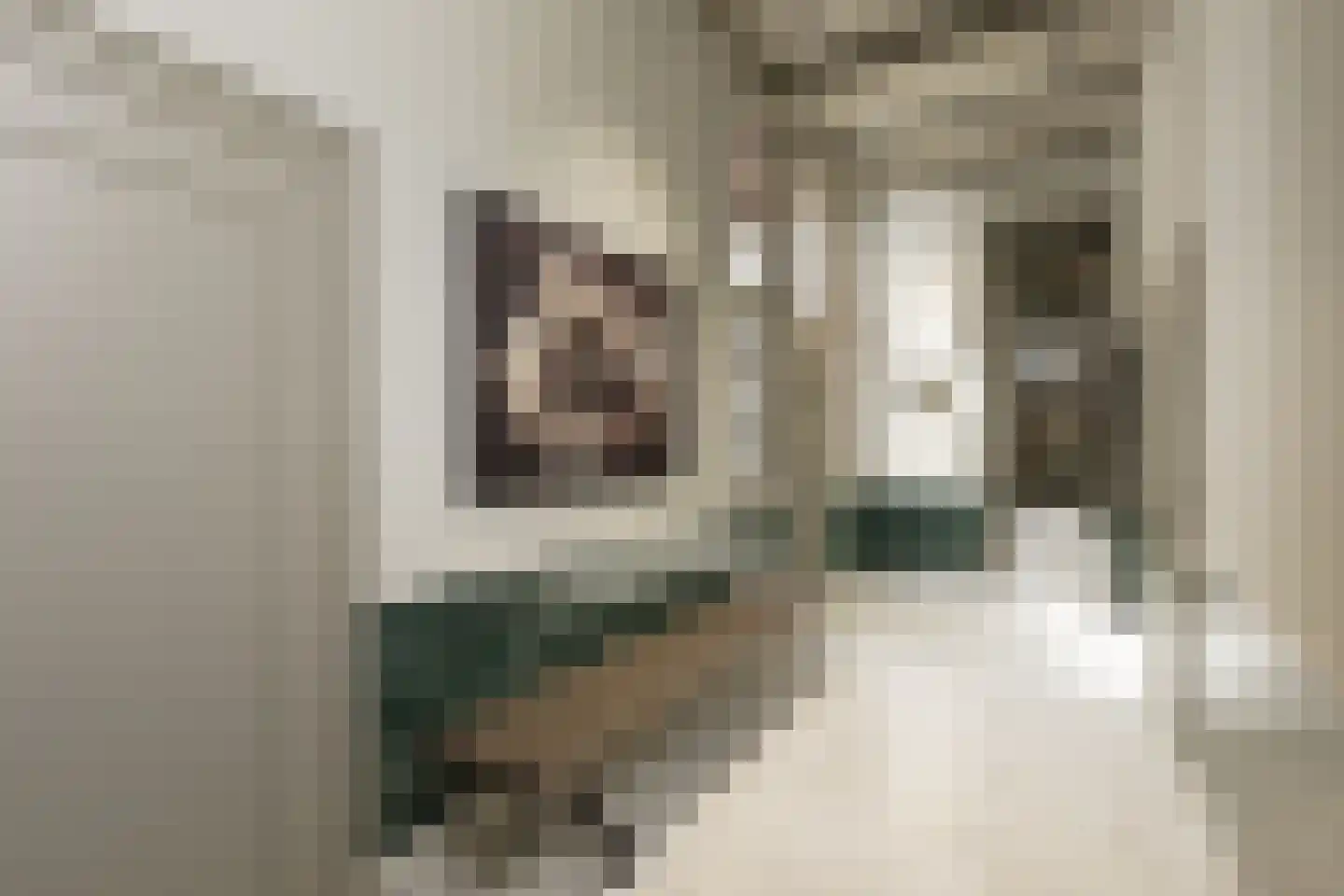 Nieuwe Gracht 84 Haarlem thumbnail 9