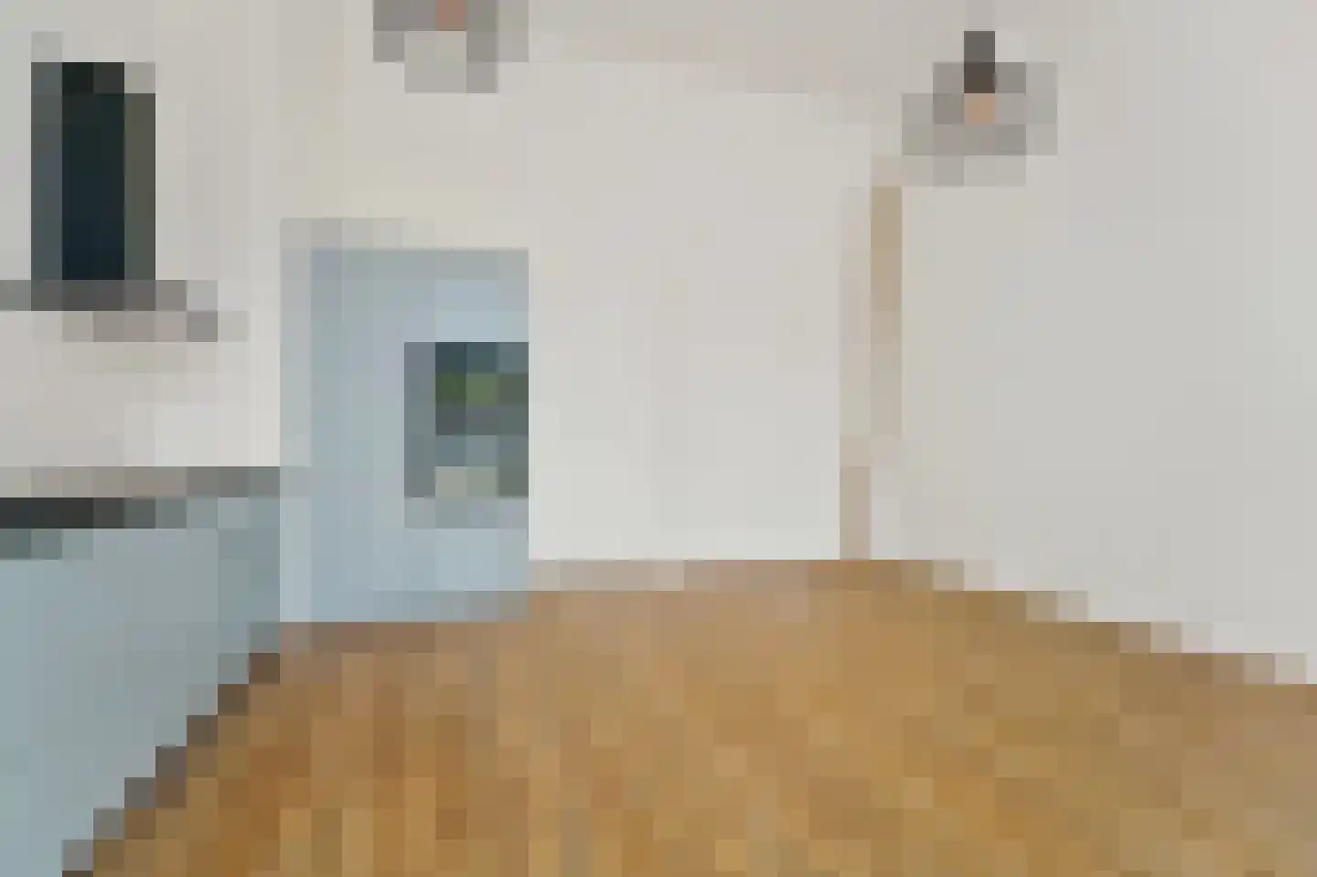Nieuwe Gracht 85 Delft thumbnail 14