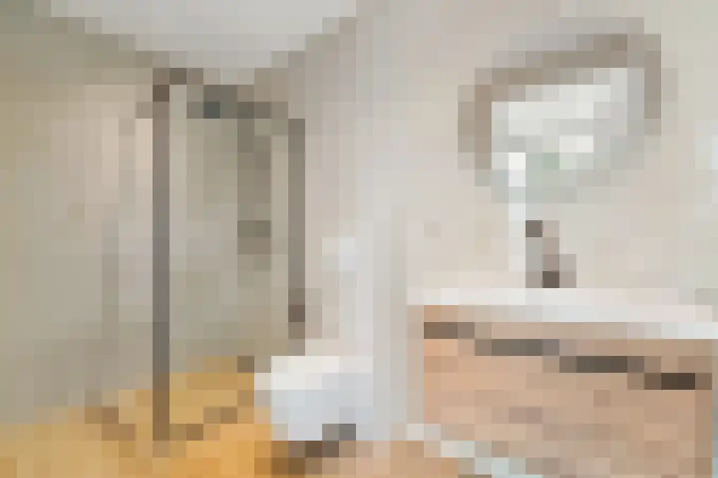 Nieuwe Gracht 85 Delft thumbnail 16