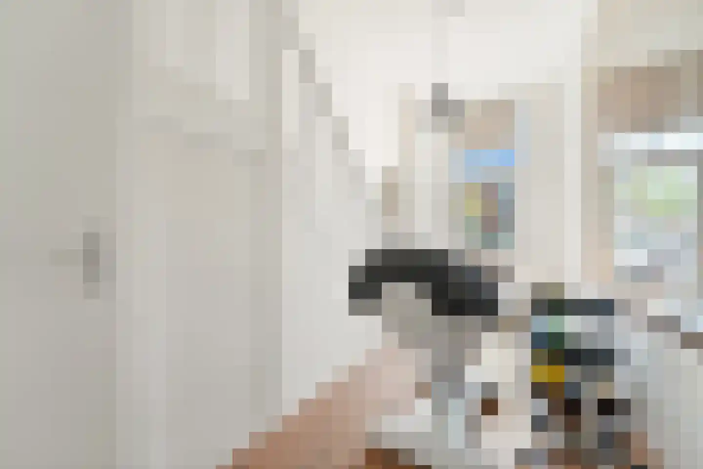 Nieuwe Gracht 85 Delft thumbnail 22