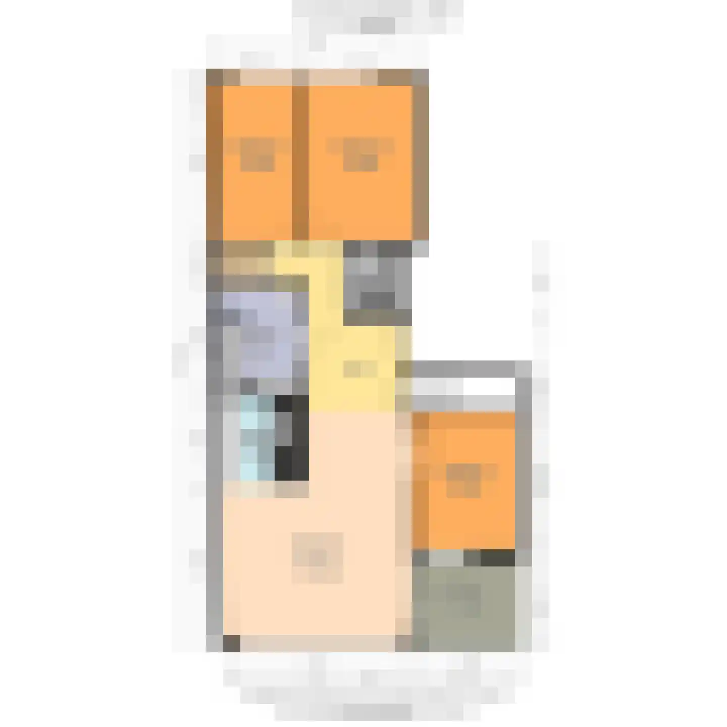 Nieuwe Gracht 85 Delft thumbnail 23
