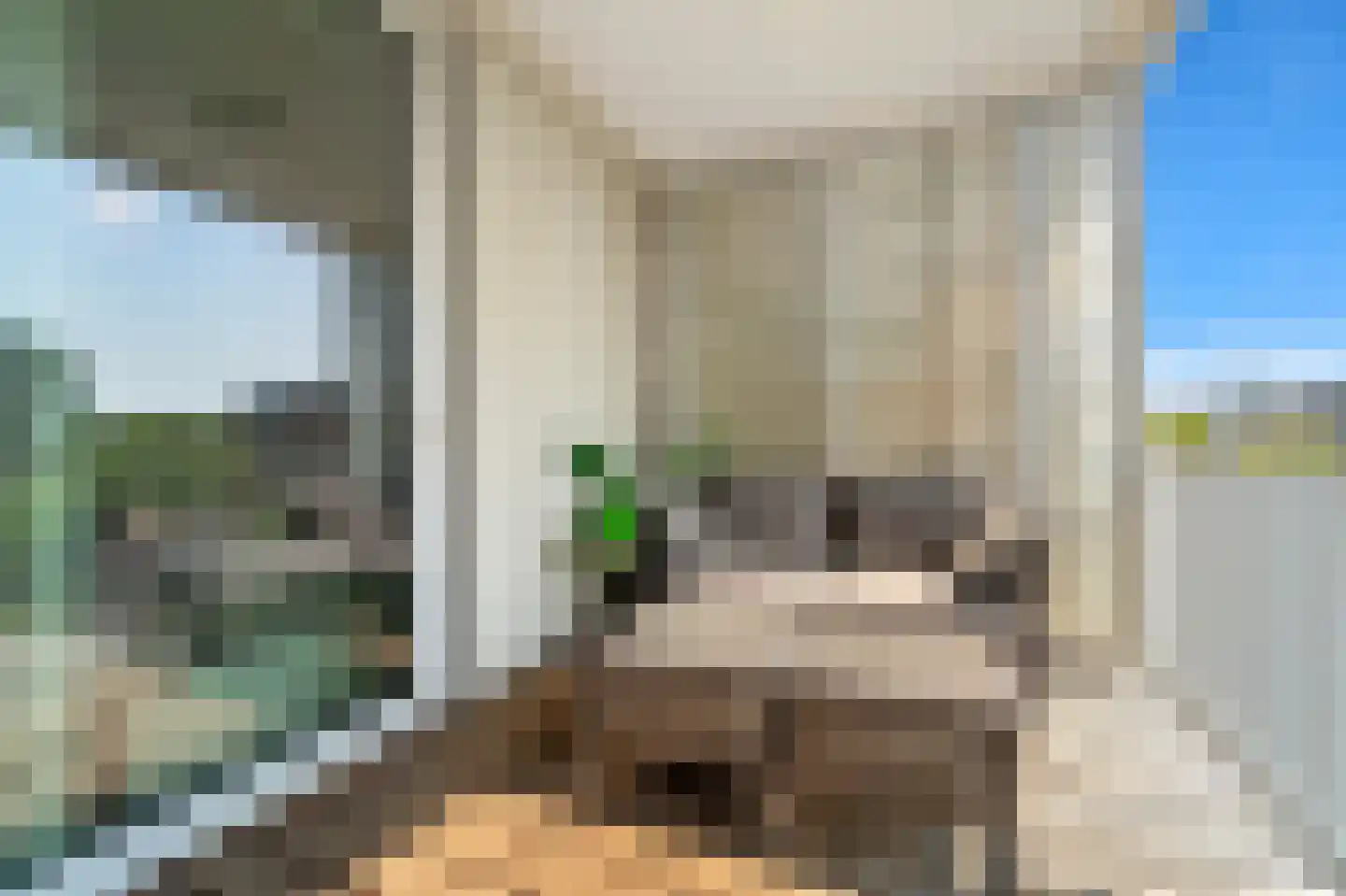 Nieuwe Gracht 85 Delft thumbnail 32