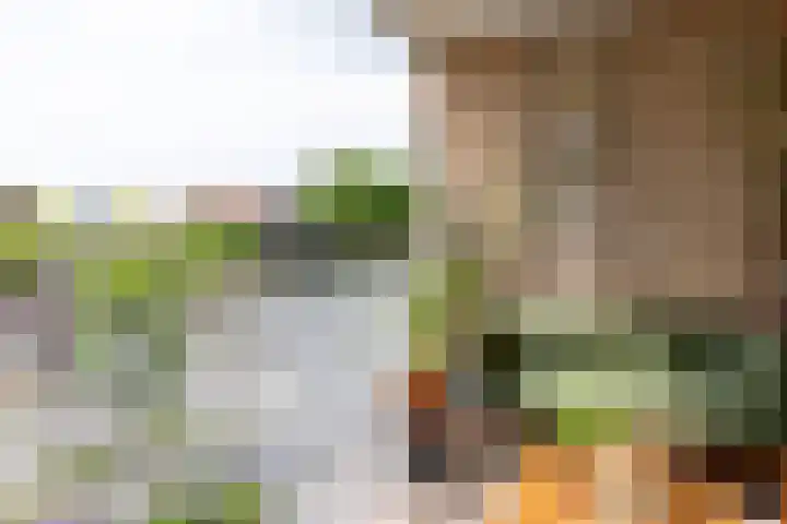 Nieuwe Gracht 87 Delft thumbnail 17