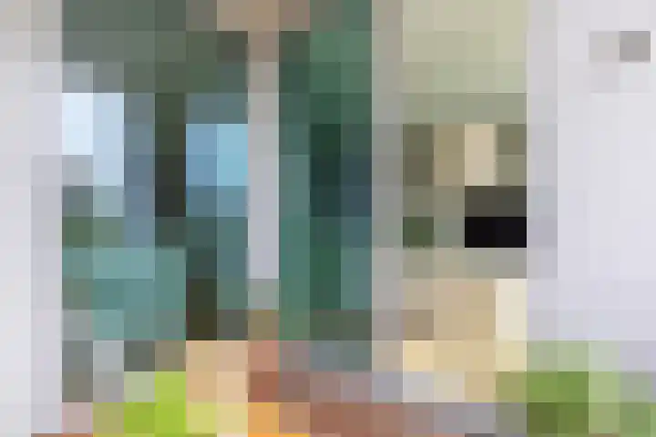 Nieuwe Gracht 87 Delft thumbnail 18