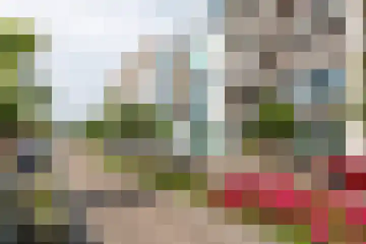 Nieuwe Gracht 87 Delft thumbnail 32