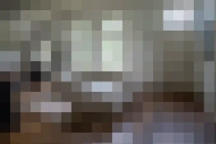 Nieuwe Grensweg 13 Deurningen thumbnail 11