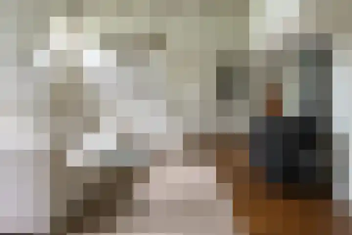 Nieuwe Grensweg 13 Deurningen thumbnail 13