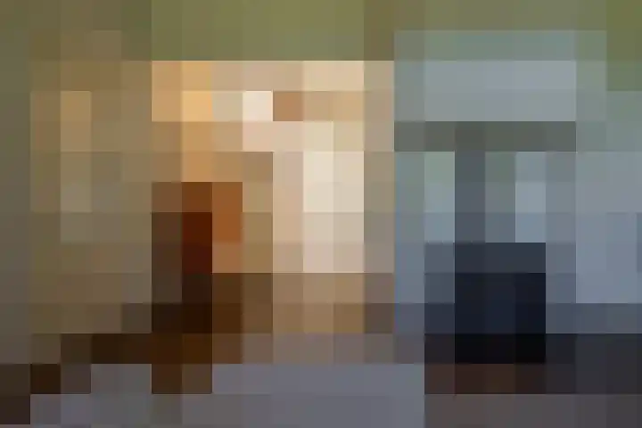 Nieuwe Grensweg 13 Deurningen thumbnail 14