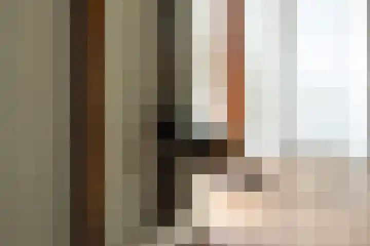 Nieuwe Grensweg 13 Deurningen thumbnail 15