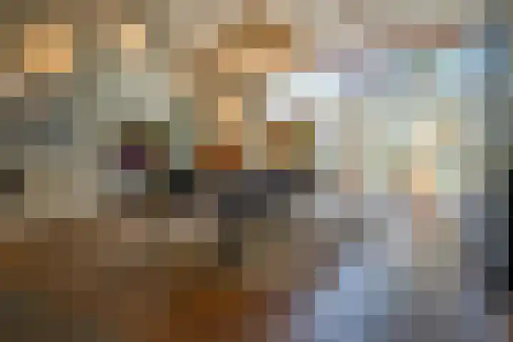 Nieuwe Grensweg 13 Deurningen thumbnail 18