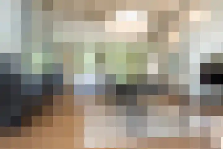 Nieuwe Grensweg 13 Deurningen thumbnail 19