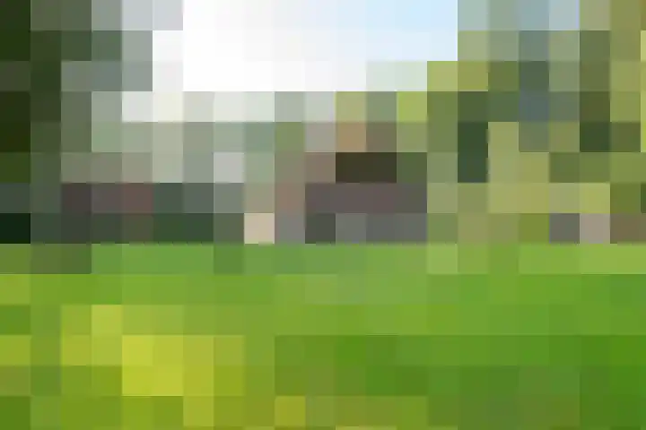 Nieuwe Grensweg 13 Deurningen foto 2