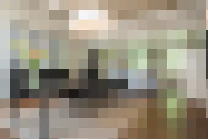 Nieuwe Grensweg 13 Deurningen thumbnail 20
