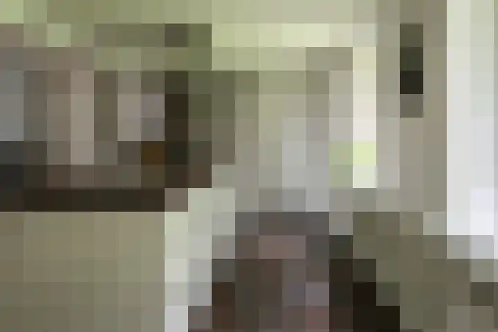 Nieuwe Grensweg 13 Deurningen thumbnail 22