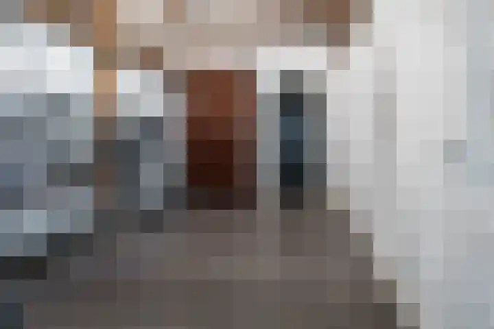 Nieuwe Grensweg 13 Deurningen thumbnail 23