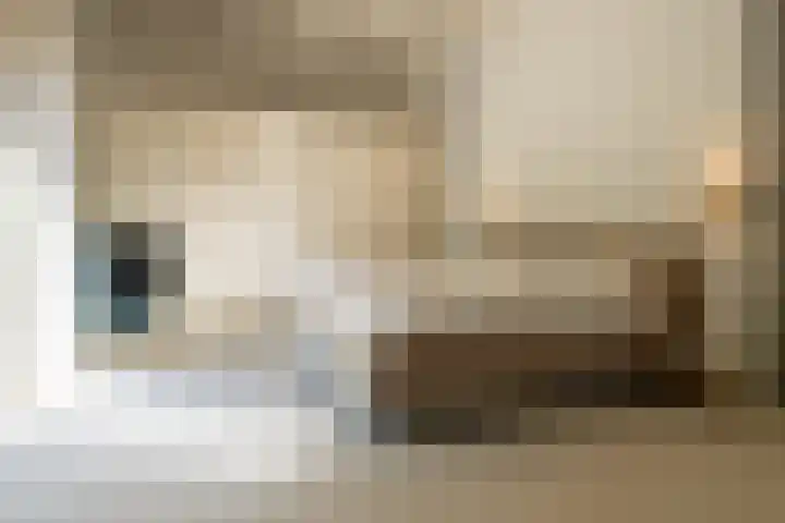 Nieuwe Grensweg 13 Deurningen thumbnail 26