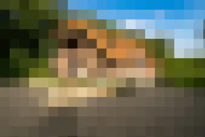 Nieuwe Grensweg 13 Deurningen foto 3