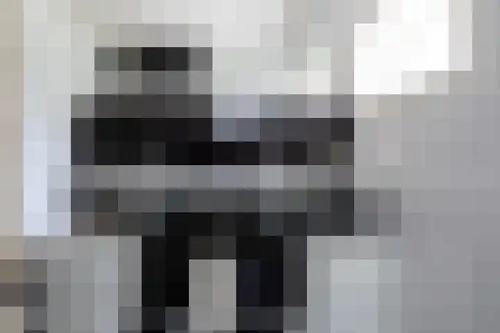 Nieuwe Grensweg 13 Deurningen thumbnail 30