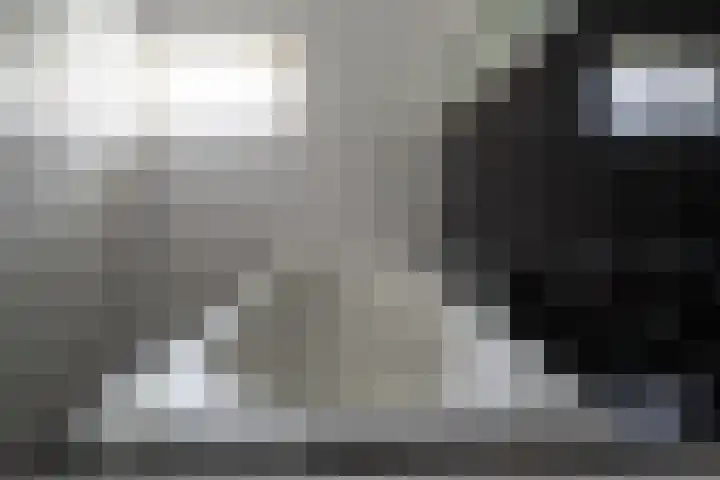 Nieuwe Grensweg 13 Deurningen thumbnail 31