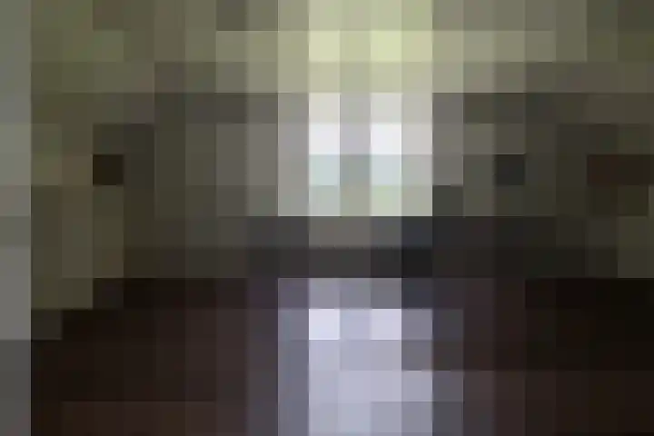 Nieuwe Grensweg 13 Deurningen thumbnail 32