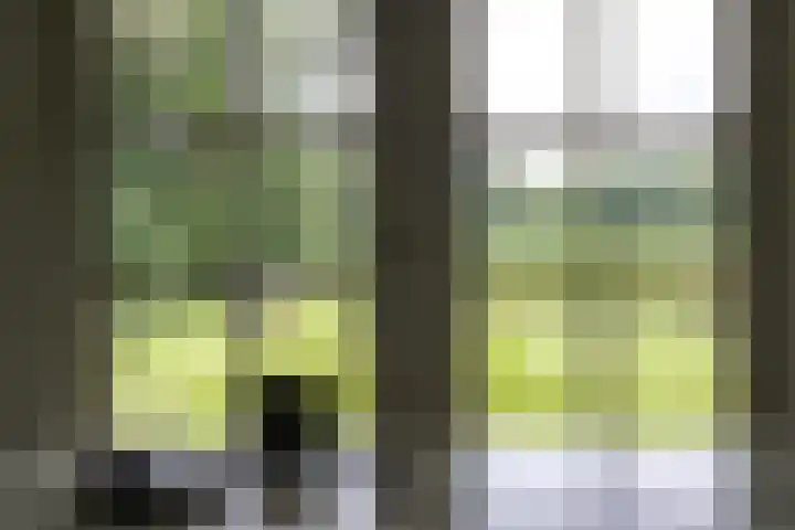 Nieuwe Grensweg 13 Deurningen thumbnail 34
