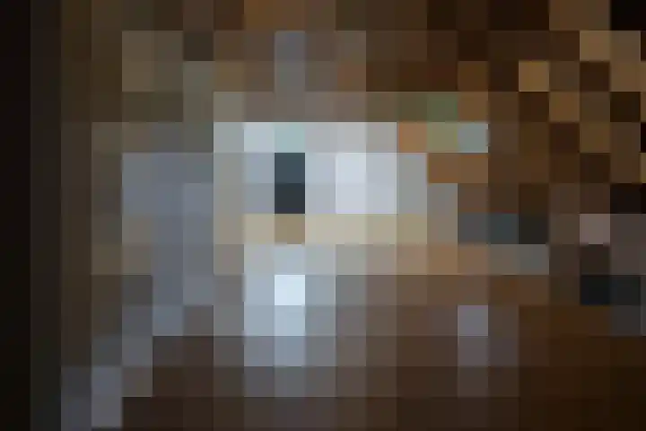 Nieuwe Grensweg 13 Deurningen thumbnail 35