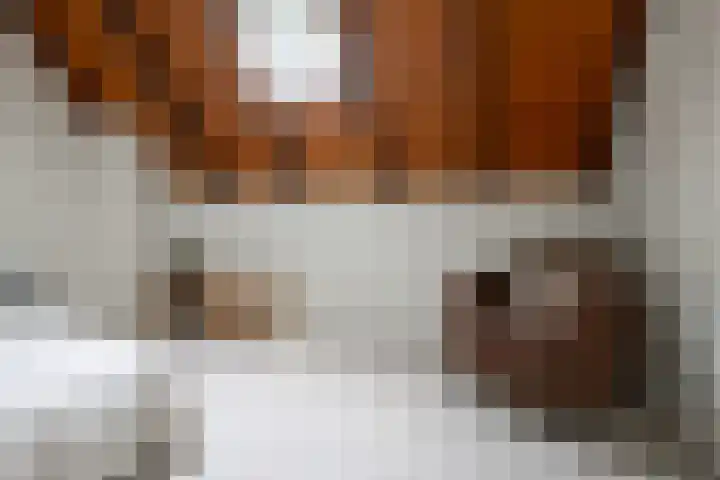 Nieuwe Grensweg 13 Deurningen thumbnail 36