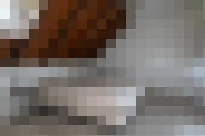 Nieuwe Grensweg 13 Deurningen thumbnail 37