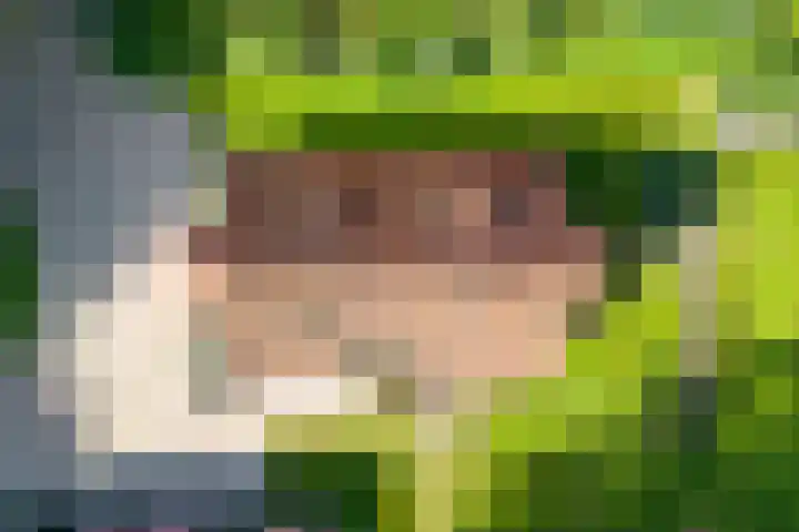 Nieuwe Grensweg 13 Deurningen thumbnail 4