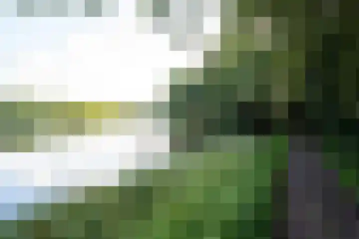 Nieuwe Grensweg 13 Deurningen thumbnail 40