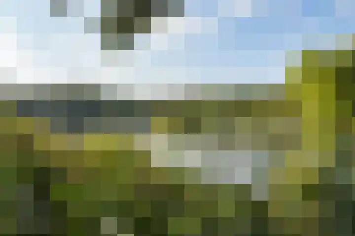 Nieuwe Grensweg 13 Deurningen thumbnail 42