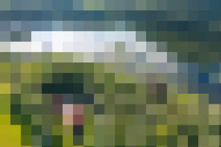 Nieuwe Grensweg 13 Deurningen thumbnail 43