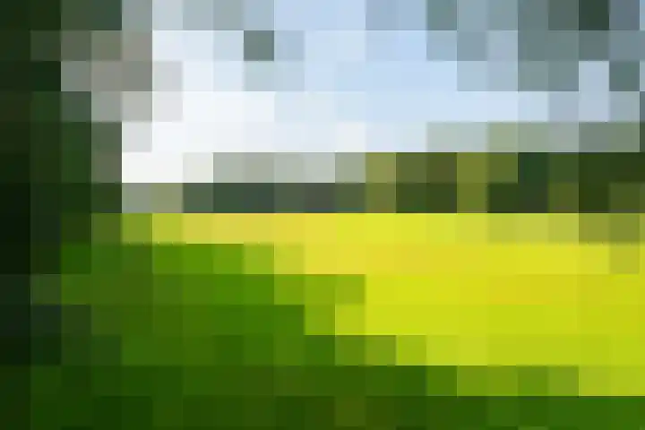 Nieuwe Grensweg 13 Deurningen thumbnail 44