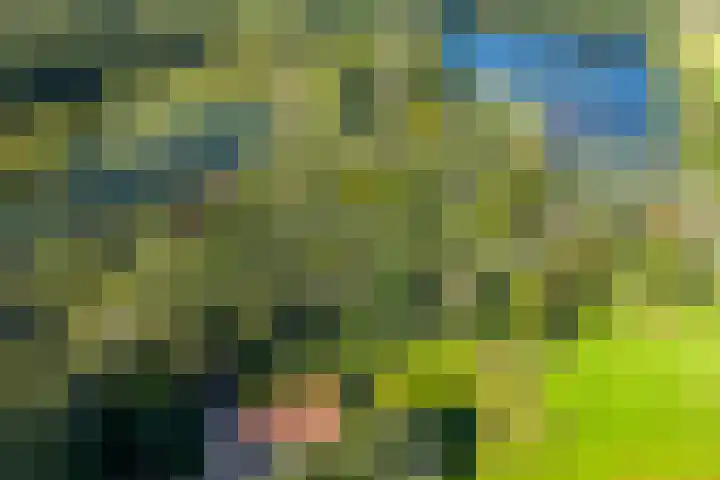 Nieuwe Grensweg 13 Deurningen thumbnail 5