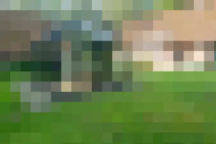 Nieuwe Grensweg 13 Deurningen thumbnail 6