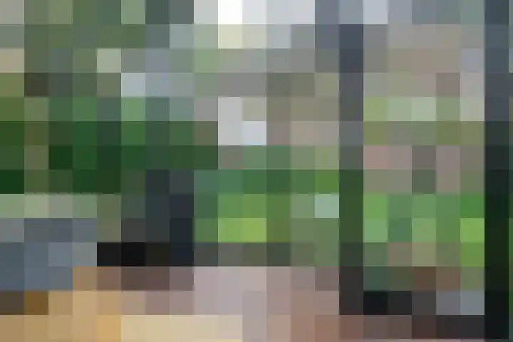 Nieuwe Grensweg 13 Deurningen thumbnail 7