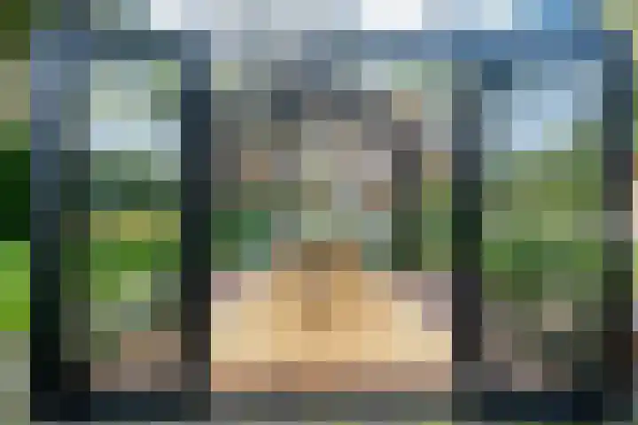 Nieuwe Grensweg 13 Deurningen thumbnail 8